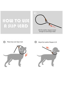 fida Durable Slip Lead Dog Leash / Training Leash(6ft length, 1/2 thick Rope) Green  - Image 2