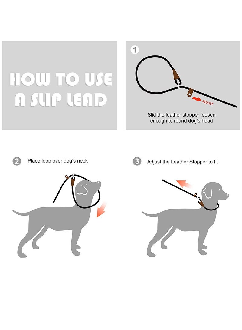 fida Durable Slip Lead Dog Leash / Training Leash(6ft length, 1/2 thick Rope) Green - Image 2