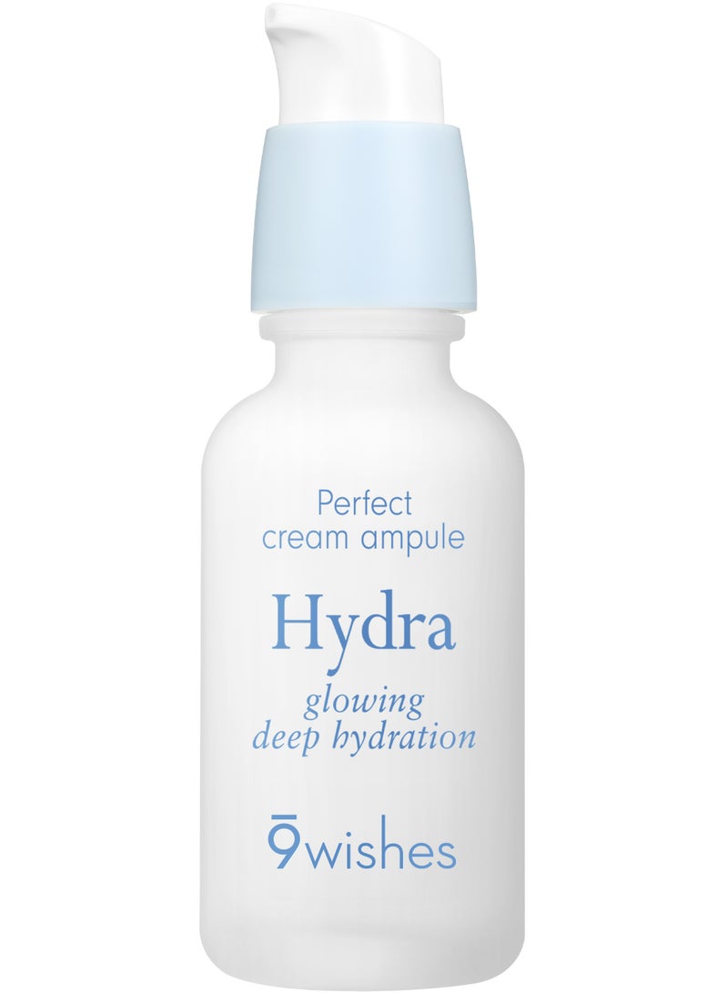 9wishes Hydra Perfect Cream Ampule | Deep Hydration Face Moisturizer for Glowing, Smooth & Radiant Skin | Lightweight Nano Cream Formula with Hyaluronic Acid for Dry, Dull & Sensitive Skin 50ml