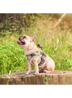 Soft Mesh Small Dog Harness with Leash - Basic Plaid Padded Step-in Chest Vest for Kitties, Puppy, Small Pets - pzsku/Z446776701E58A01759A5Z/45/_/1687594782/581c3f61-be05-426c-b0ab-b4f409b266f4