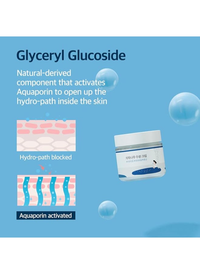 ROUND LAB Birch Juice Moisturizing Cream_80Ml - Image 4