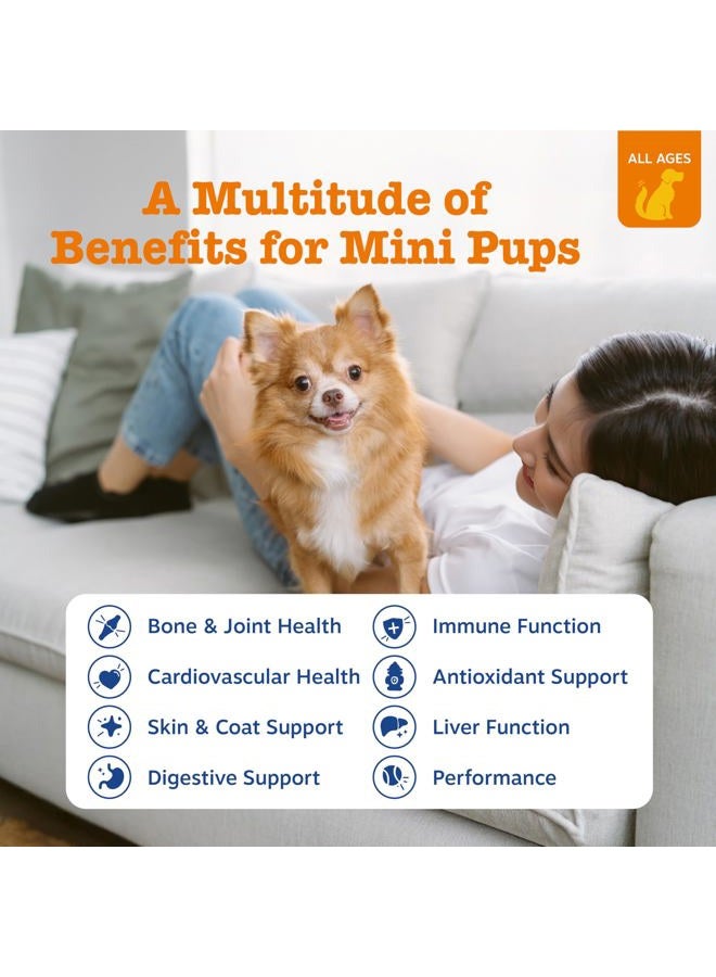 Zesty Paws علاجات الكلاب المتعددة الفيتامينات - الجلوكوزامين والكوندرويتين لدعم المفاصل + إنزيمات هضمية وبروبيوتيك - فيتامينات خالية من الحبوب للكلاب للبشرة والفرو + صحة المناعة - Image 2
