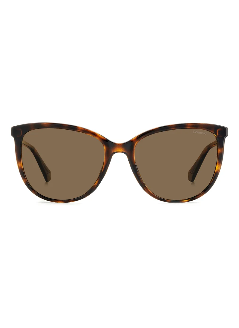 Polaroid Rectangular Polaroid Sunglasses Frames