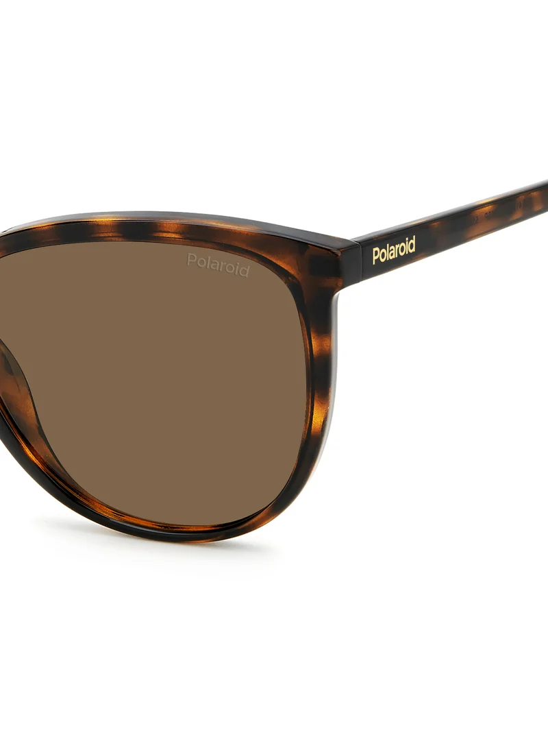 Polaroid Rectangular Polaroid Sunglasses Frames