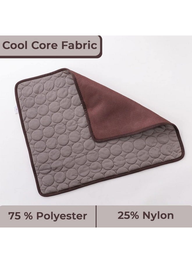 Kuber Industries - Rectangular Dog & Cat Bed|Premium Cool Ice Silk With Polyester With Bottom Mesh|Multi-Utility Self-Cooling Pad For Dog & Cat|Light-Weight & Durable Dog Bed|Zqcj001C-L|Coffee - Image 1
