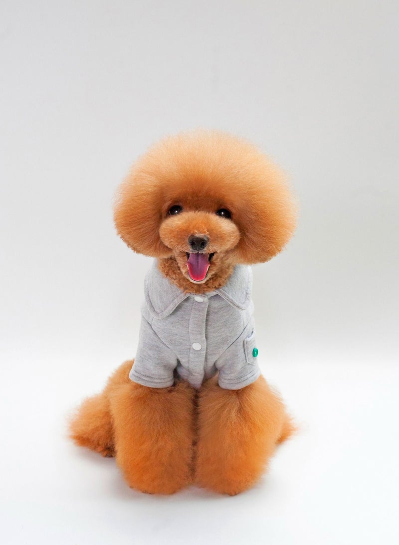 Loquat Casual dog T-shirt Grey - Image 1