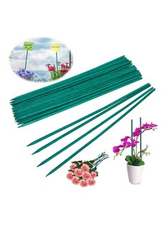 Garden Stakes Green Bamboo Sticks Decorative, Wooden Plant Support Sticks, Wood Stakes, Floral Sign Posting and DIY Activities