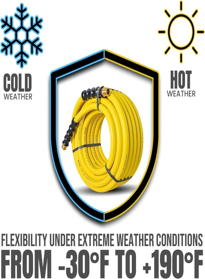 BluBird OilShield Next-Gen Air Hoses (3/8" x 15') - Image 5