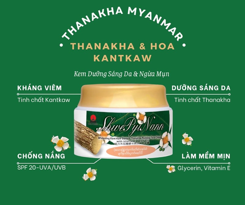 Hani Po Shwe Pyi Nann Whitening Thanakha Pudding Face Cream with Vitamin E SPF 20 Pack of 2  MyanmarKant Kaw stamenNatural Moisturizing sunblock for women  Natural cleansing for women  girl men  adults  Cream for women  girls  facial cream  body cream for women  girls - Image 3