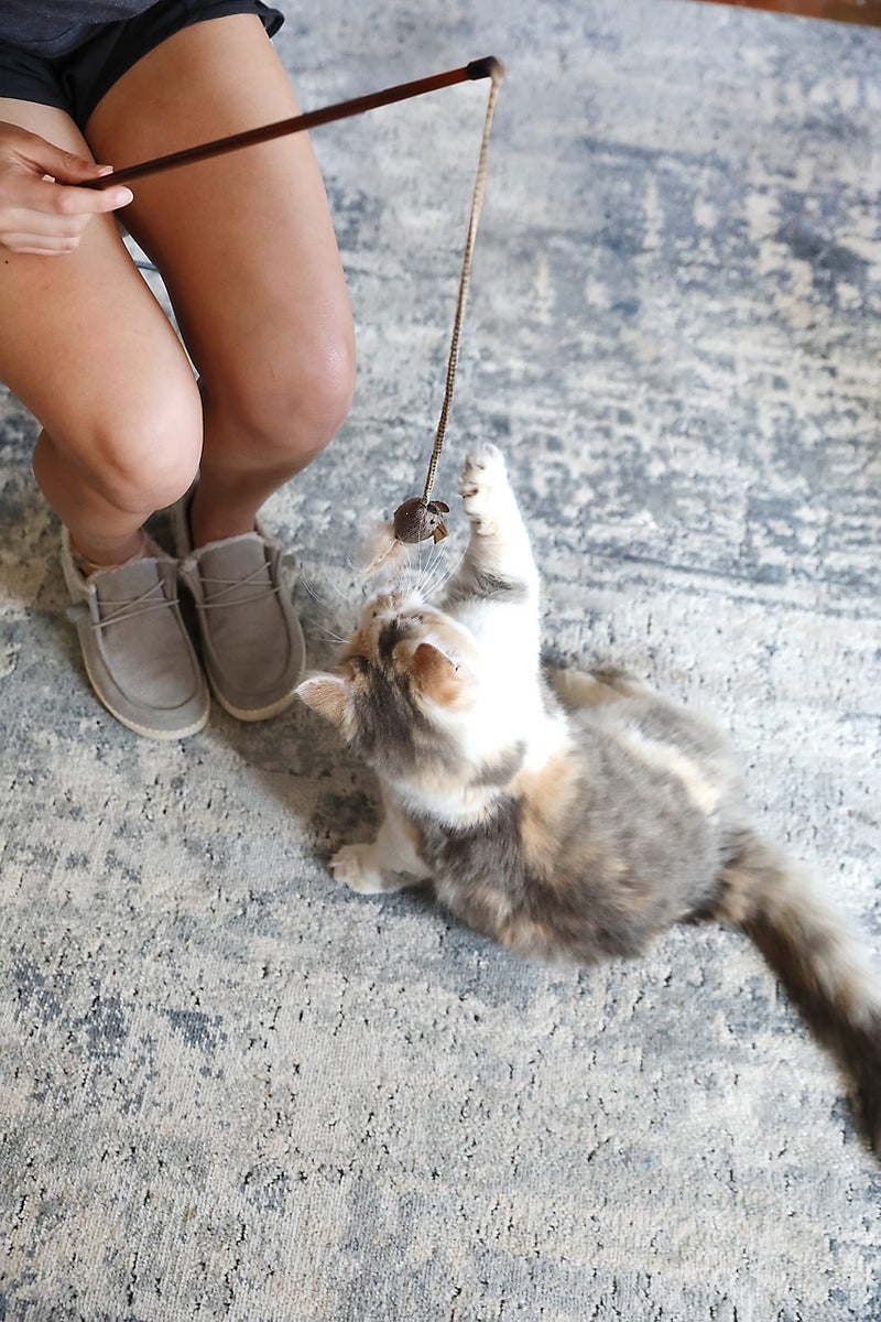 Our Pets OurPet's Play-N-Squeak Teathered & Feathered Play Wand Cat Toy, for All Breed Sizes - Image 4