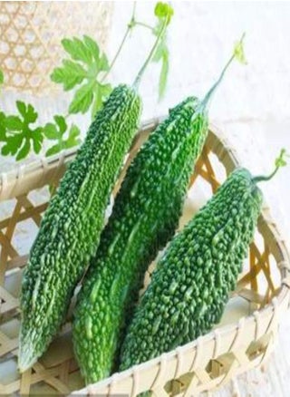 30pcs Bitter Gourd Seed - pzsku/Z446E23BA7D7B19189018Z/45/_/1708338657/625e0829-433a-457e-b208-20b45aa15dc8