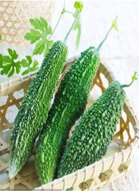 30pcs Bitter Gourd Seed