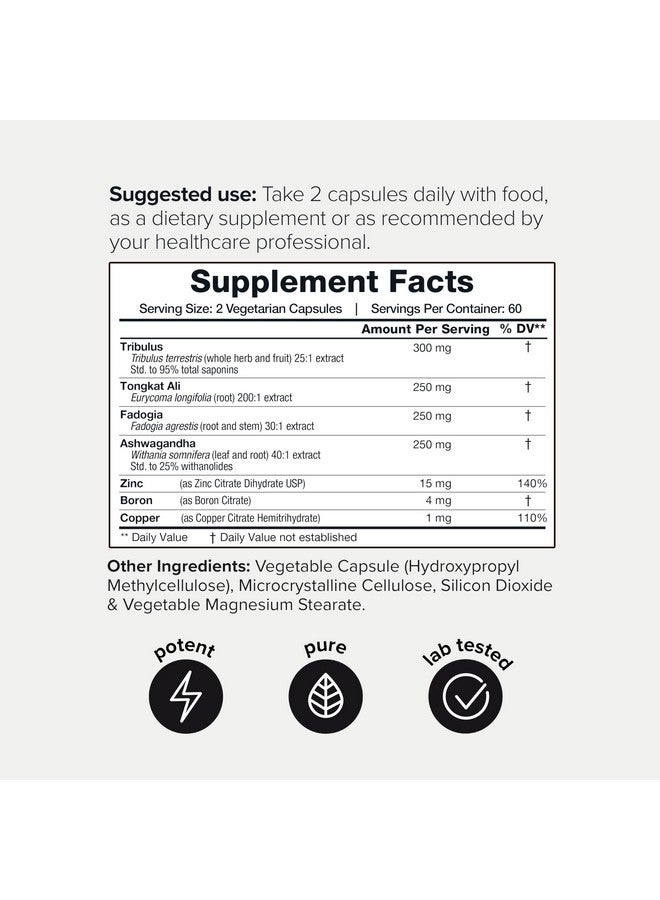 Toniiq إيليت تي فورمولا - قوة فائقة 200:1 تونغكات علي، 30:1 فادوجيا و 25% ويثانوليدات أشواغاندا - تريبلوس مع 95% صابونين، زنك، بورون ونحاس - مختبر طرف ثالث - 120 كبسولة - Image 2