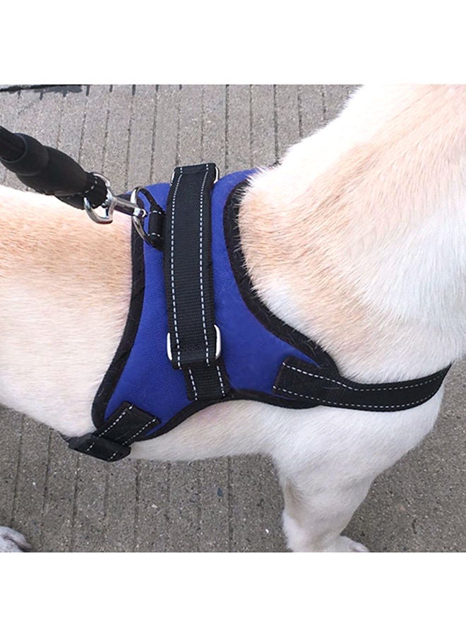 NIBEMINENT Breathable Chest Strap Harness Vest Blue - Image 3