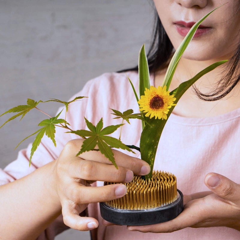 Tinsky Ikebana Stem Holder, 3 Pieces Flower Frog Kenzan Fixed Tools Flower Holder Floral Arrangement Pin for Flower Arrangement Vase, Fixation and Decoration (Gold, 0.91 Inch, 1.02 Inch, 2.36 Inch) - Image 2