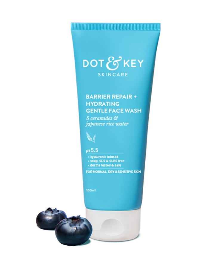 Dot & Key Barrier Repair Hydrating Gentle Face Wash, 100Ml - Image 1
