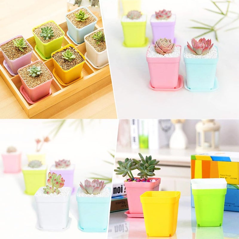 Haawooky 24 Pack Colorful Flower Pots Square Plastic Plant Pots Succulent Planter Nursery Pots with Saucers for Your Room,Garden Office and Balcony Decor - Image 5