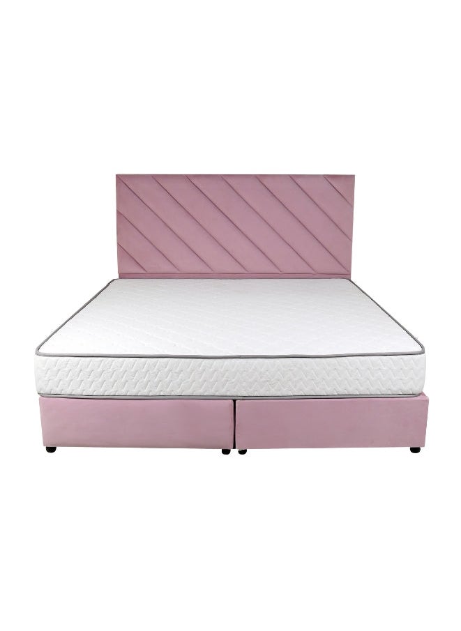 Bed and Mattress Zone Eleganza Upholstered Bed 200 X 120 Twin Size Pink Color  - Image 1
