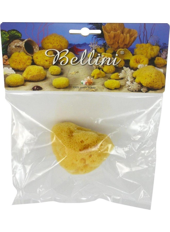 Bellini إسفنجة بحرية من الحرير الفاخر - 5 سم - مصنوعة من إسفنجة بحرية طبيعية - مضادة للحساسية، إسفنجة استحمام ناعمة للأطفال - قابلة للتحلل، صديقة للبيئة ولطيفة على حديثي الولادة والبشرة الحساسة