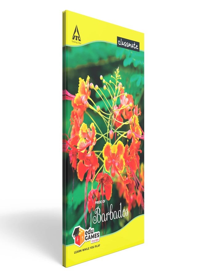 Classmate Long Book - Unruled, 160 Pages, 314 mm x 194 mm - Pack Of 3 - Image 1