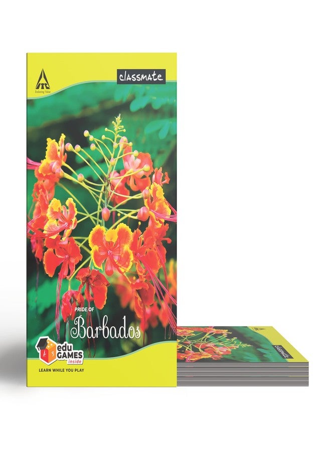 Classmate Long Book - Unruled, 160 Pages, 314 mm x 194 mm - Pack Of 3 - Image 2