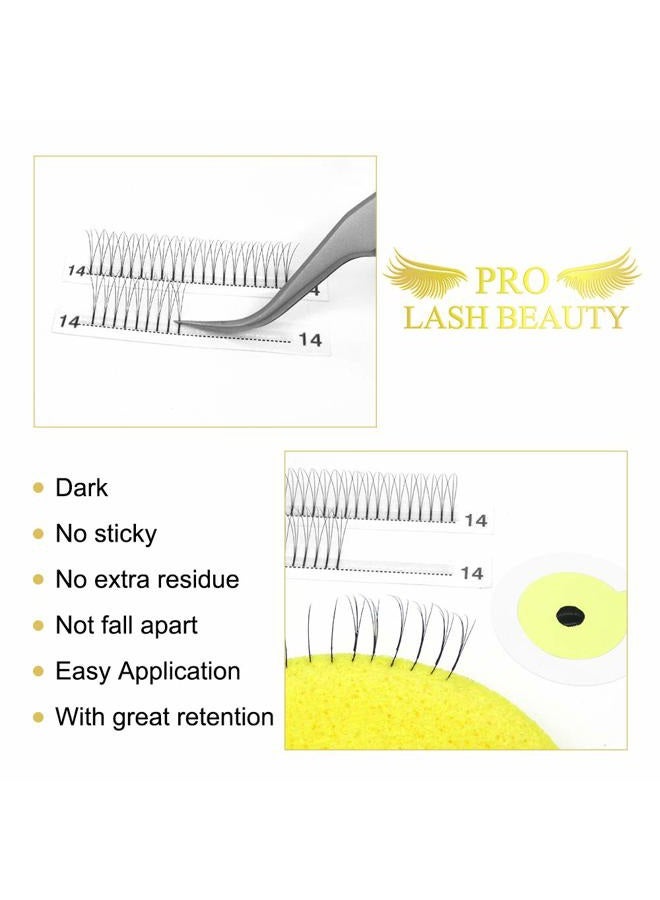PRO LASHBEAUTY Premade Volume Eyelash Extensions 5D-D-0.07-10 Long Stem Premade Fans Eyelash Extensions .07 .10 Premade Volume Fans Volume Lash Extensions C D Curl(5D-D-0.07,10 mm) - Image 3