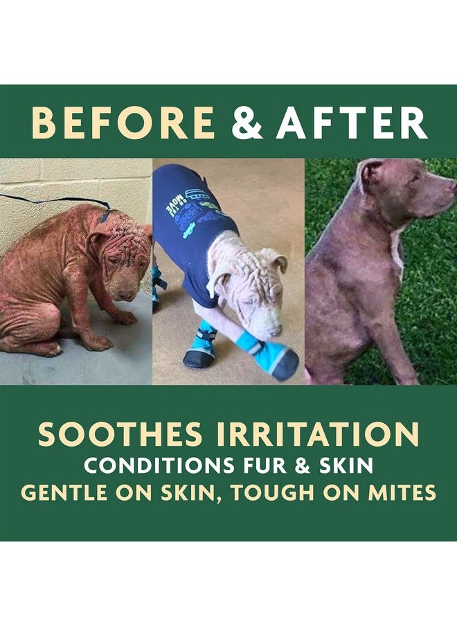 VET ORGANiCS - EcoMange Mange Relief for Dogs & Cats - 8 Oz. Cat & Dog Itch Relief, Sarcoptic & Demodectic Mite Spray - Herbal Extract & Essential Oil Itch Relief for Dogs - Natural Cat & Dog Sprays by Vet Organics - Image 1