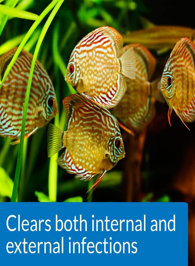 API FIN & BODY CURE Freshwater Fish Powder Medication 10-Count Box - Image 5