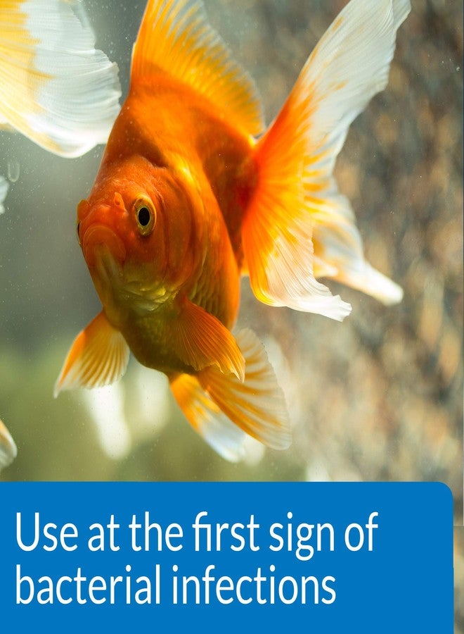 API FIN & BODY CURE Freshwater Fish Powder Medication 10-Count Box - Image 3