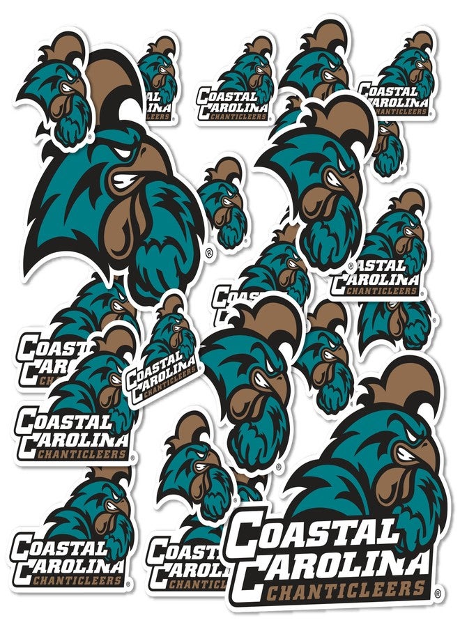 Desert Cactus Coastal Carolina University Sticker Chanticleers CCU Vinyl Decals Laptop Water Bottle Car Scrapbook Sheet T1 (Type 1-1) - Image 1