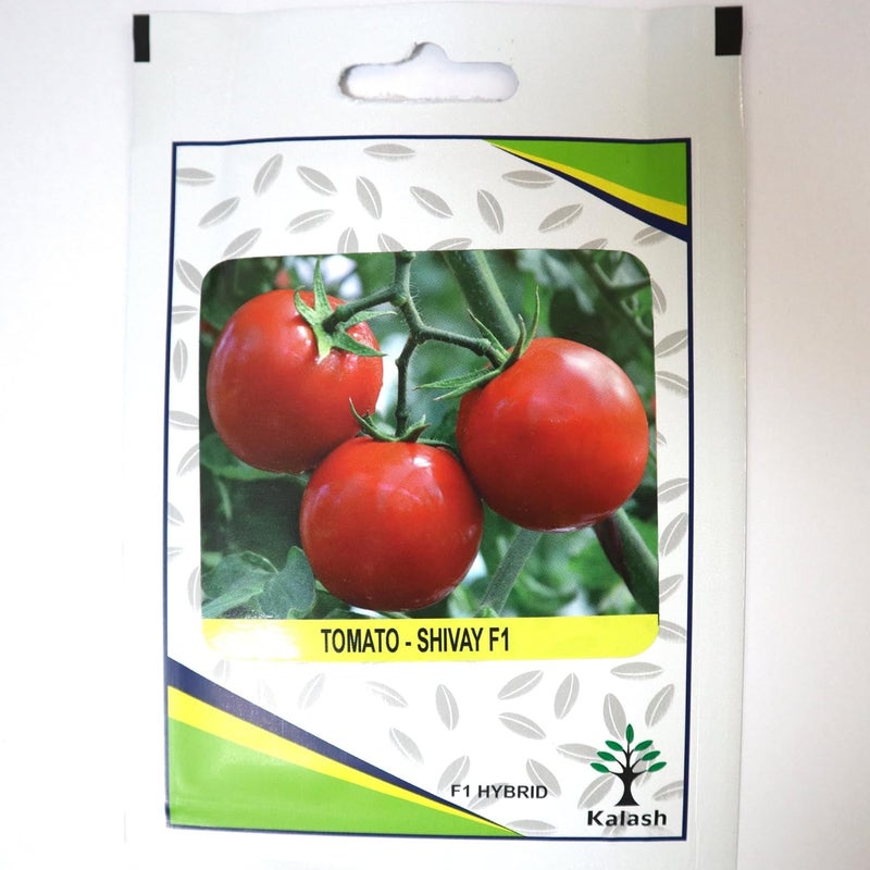 Kalash Tomato Shivay F1 Hybrid Premium Quality Seeds - 200 Seeds