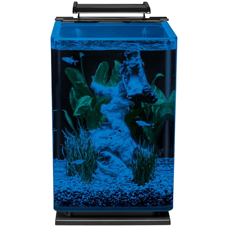 Marineland Portrait Glass LED Aquarium Kit, 5 Gallons, Hidden Filtration,Black - Image 5