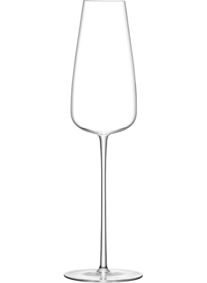 LSA International LS 549007 كؤوس شمبانيا ثقافة النبيذ 330 مل مجموعة من 2 قطعة - Image 2