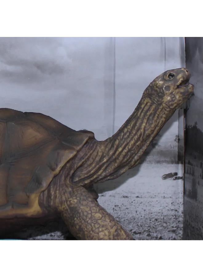 The World of Animals Wild Animals Model - Tortoise Figurine - Image 3
