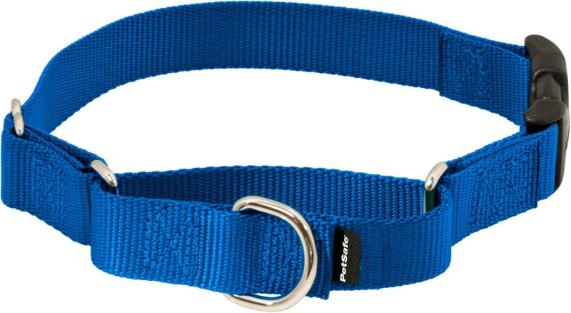 PetSafe Martingale Dog Collar with Quick-Snap Buckle - Small, 3/4 Inch, Royal Blue - Image 1