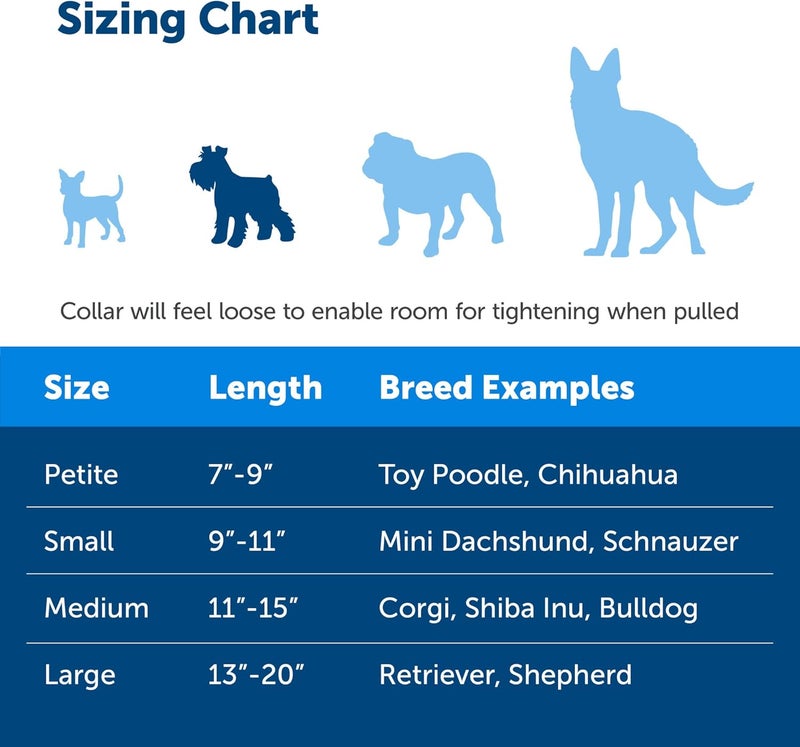 PetSafe Martingale Dog Collar with Quick-Snap Buckle - Small, 3/4 Inch, Royal Blue - Image 4