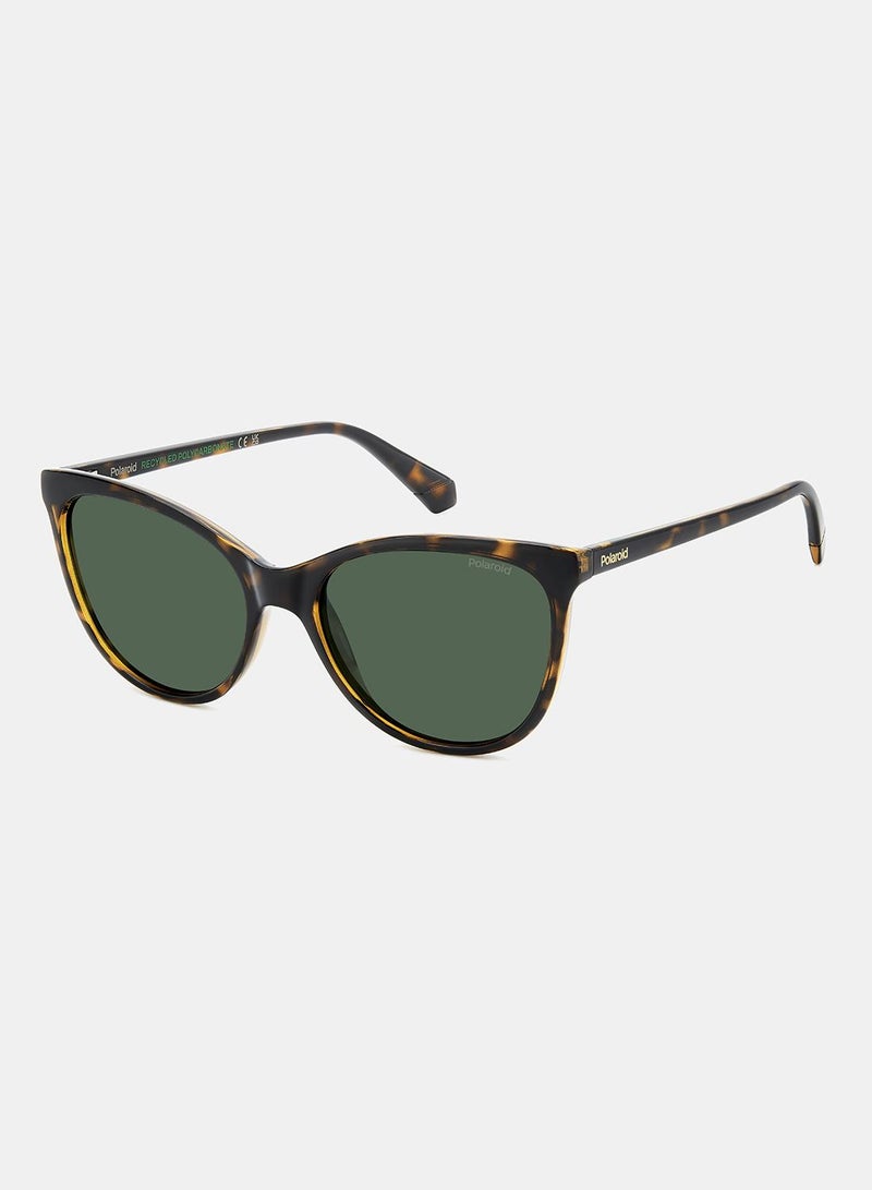 Polaroid Women Cat Eye Sunglasses 55 PLD 4179/S - Image 1