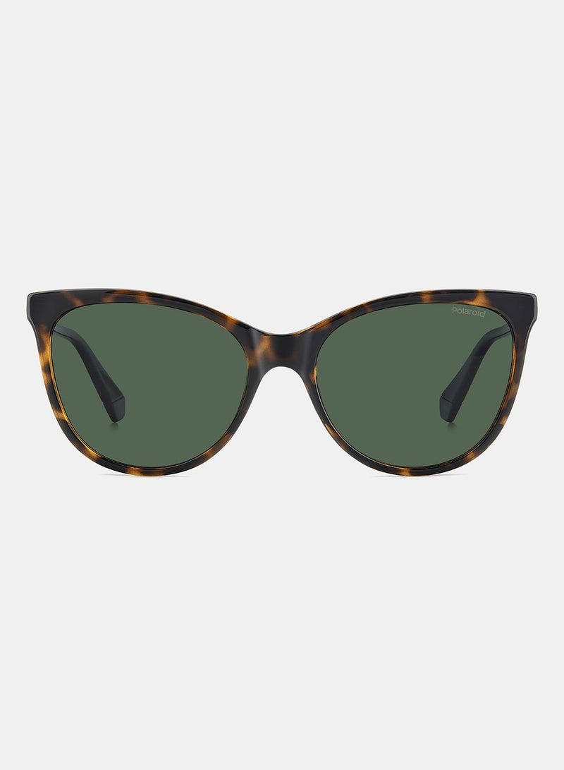 Polaroid Women Cat Eye Sunglasses 55 PLD 4179/S - Image 3