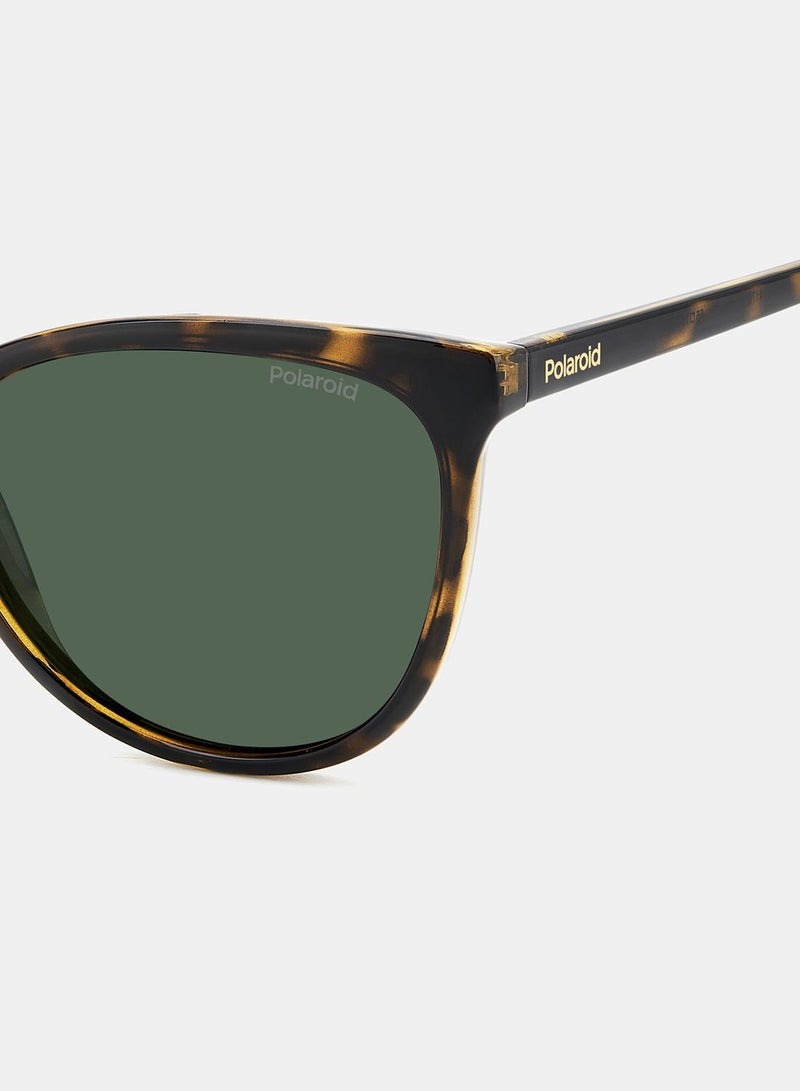 Polaroid Women Cat Eye Sunglasses 55 PLD 4179/S - Image 5