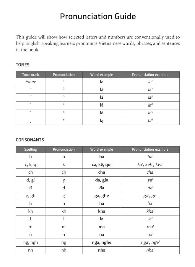 null - Essential Vietnamese Grammar: A Comprehensive Guide for Foreign Learners (Free Online Audio Recordings) - Image 1
