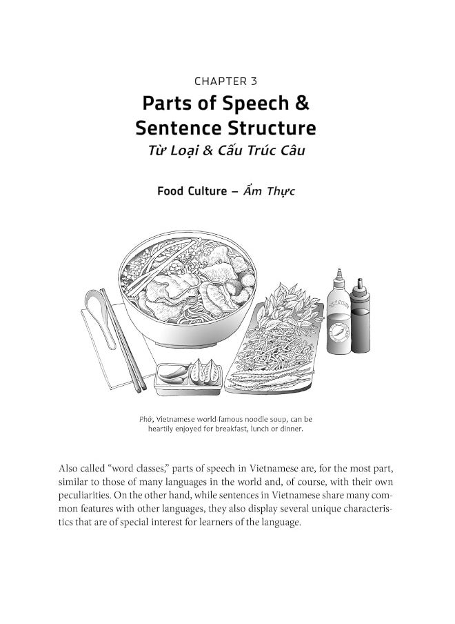 null - Essential Vietnamese Grammar: A Comprehensive Guide for Foreign Learners (Free Online Audio Recordings) - Image 1