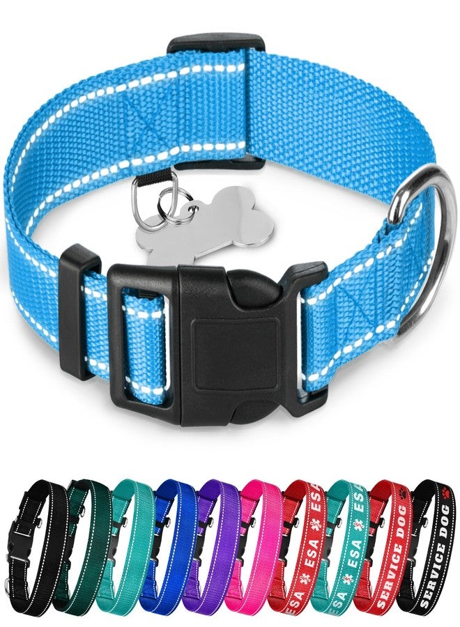 TECEUM Reflective Dog Collar - Sky Blue - M - Basic Nylon Pet Collar - Quick Release Buckle - Fits Small, Medium and Large Dogs, Puppies, Cats - ESA & Service Dog Options - Image 1