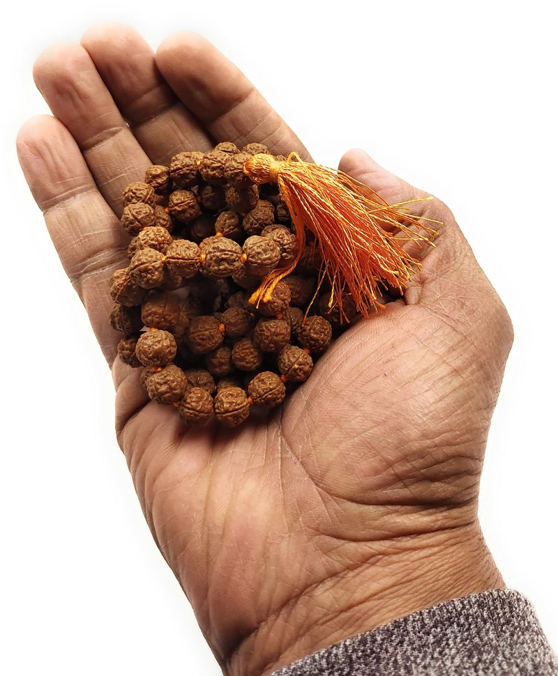 Rocksmins Rudraksha Mala 108+1 Beads (Pathri Mala/Chikna Mala) 8 mm Lab Certified Natural Original 5 Panch Mukhi for Jaap Pooja Astrology Wearing Meditation Protection Unisex (MALARUDRAKSHA-Pathri) - Image 3