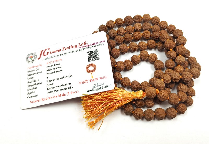 Rocksmins Rudraksha Mala 108+1 Beads (Pathri Mala/Chikna Mala) 8 mm Lab Certified Natural Original 5 Panch Mukhi for Jaap Pooja Astrology Wearing Meditation Protection Unisex (MALARUDRAKSHA-Pathri) - Image 1