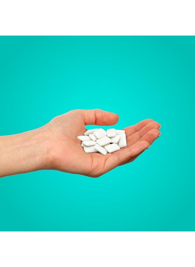 PUR Gum | Sugar Free Chewing Gum | 100% Xylitol | Vegan, Aspartame Free, Gluten Free | Natural Wintergreen Flavored Gum, 55 Pieces (Pack of 1) - Image 2