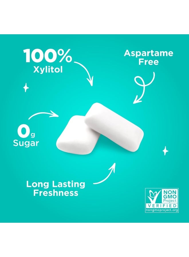 PUR Gum | Sugar Free Chewing Gum | 100% Xylitol | Vegan, Aspartame Free, Gluten Free | Natural Wintergreen Flavored Gum, 55 Pieces (Pack of 1) - Image 4