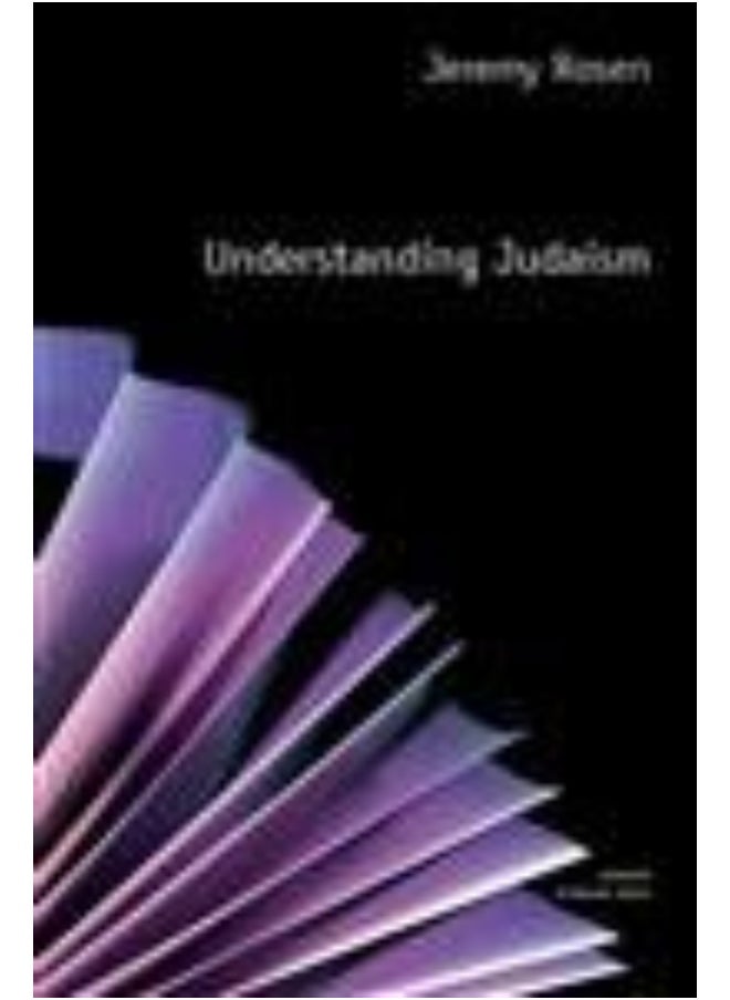 Understanding Judaism - pzsku/Z4480AF3D459E1368ABFDZ/45/_/1730194934/87b305c2-1db1-4a6e-ac3c-d0e977bf8f73