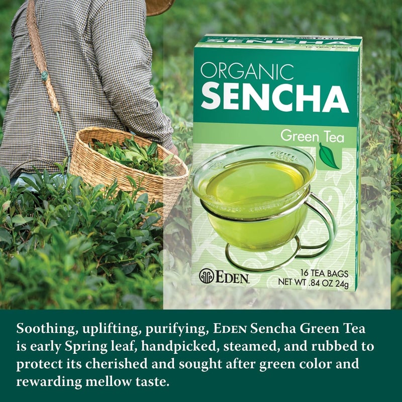 Eden Foods Eden Organic Sencha Green Tea - Pack of 3 - Image 3