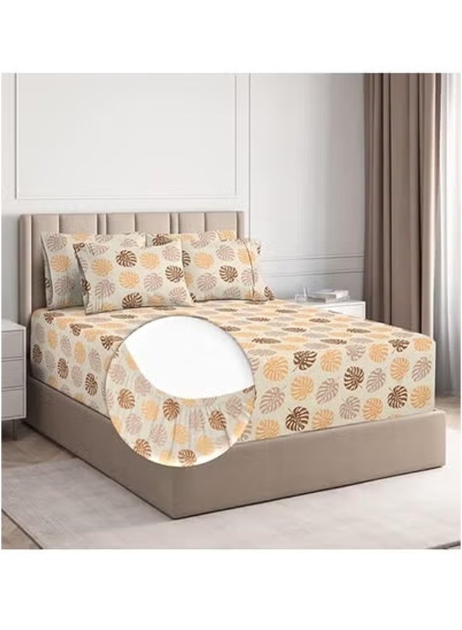 BSB HOME طقم ملاءات سرير كينغ من قطن جلاسيه الفاخر مع 2 غطاء وسادة 183x198 +25 سم - Image 3