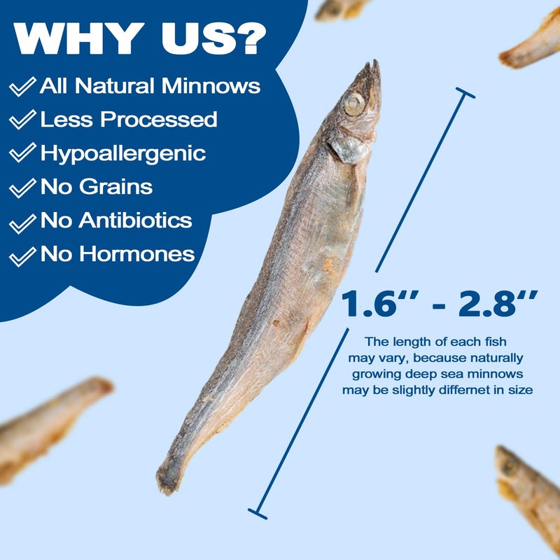 Amzey 7oz Minnows Dog Treats - Freeze Dried Minnows Cat Treats - High Protein & Premium Quality Training Treats - Bulk Package (1.6" to 2.8" Length Each) - Image 5